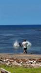 A rock lands near the seal. COURTESY PHOTO, U.S. Attorneys Office, District of Hawaii