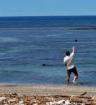 A Covington man reportedly throws a rock at a Hawaiian monk seal May 5 in Maui. COURTESY PHOTO, U.S. Attorneys Office, District of Hawaii