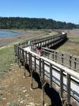 The Estuary Boardwalk stretches over a mile of mudflats. Photo by Kevin Hanson