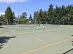 Lake Boren Park in Newcastle with pickleball nets ready to go. Ben Ray / The Reporter