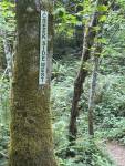 PHOTO BY KEVIN HANSON Creekside West is a popular trail at Lake Sawyer, keeping everyone heading in the right direction with frequent signage.