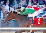 Slews Tiz Whiz runs at Emerald Downs in Auburn. COURTESY PHOTO, Emeralddowns.com