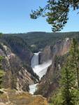 The Grand Canyon of Yellowstone National Park. Photo courtesy of Mindy Stern