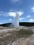 Old Faithful geyser at Yellowstone National Park in Wyoming. Photo courtesy of Mindy Stern